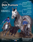 T_06-OurPlaygun.jpg